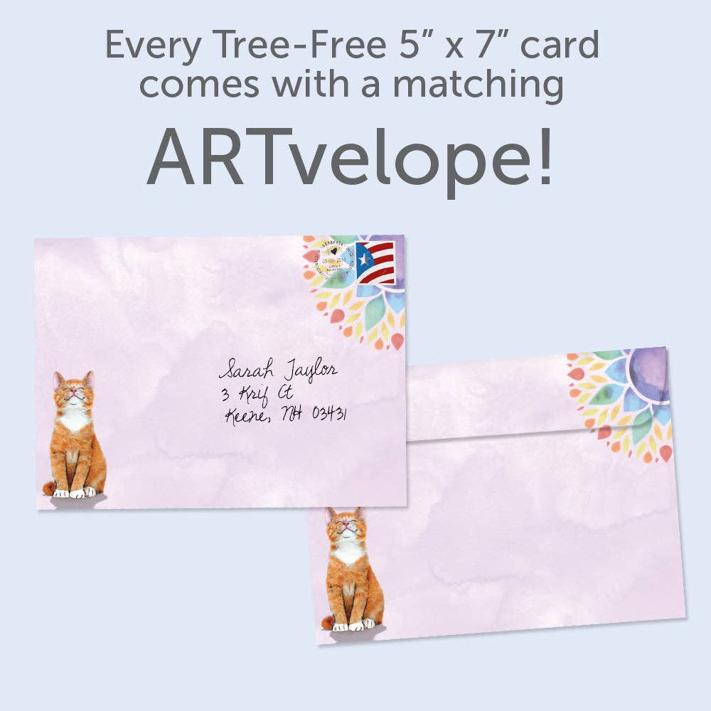 - Good Vibes Cat | Just Because Cards |