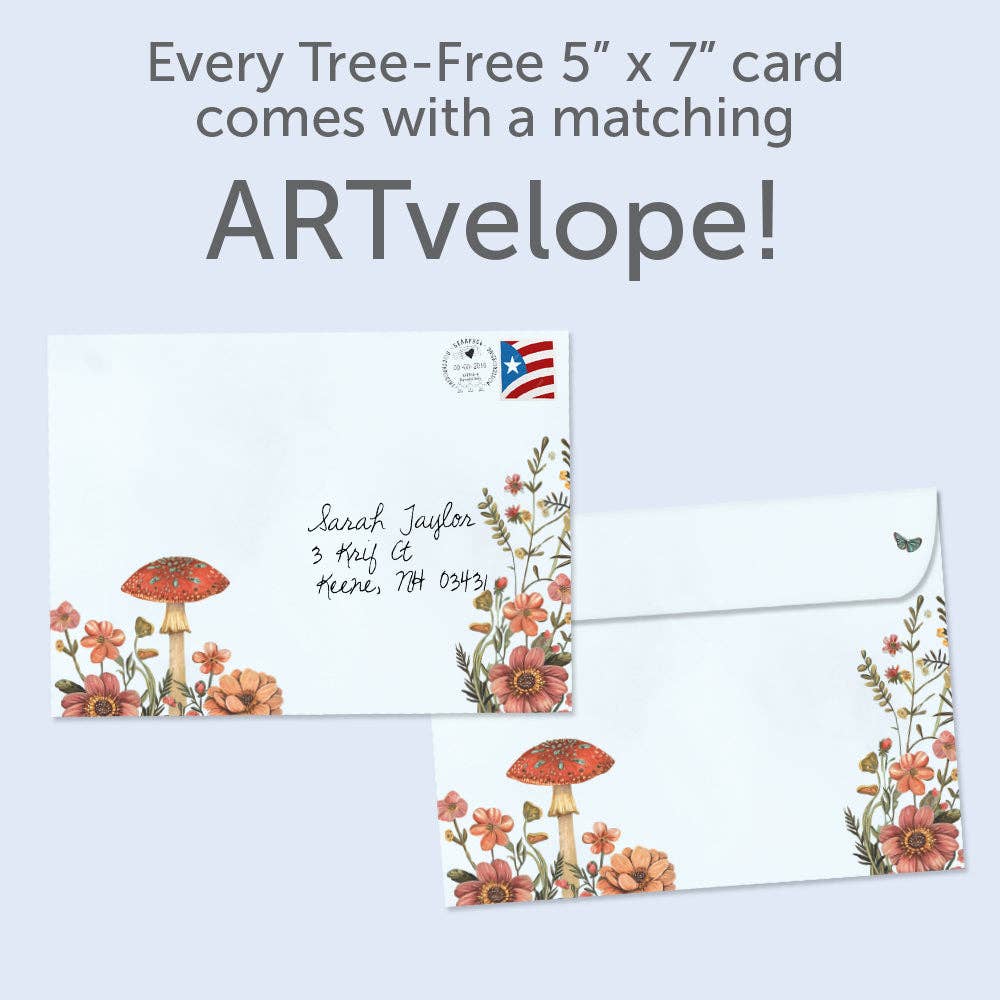 - Dragonfly Toadstool | Birthday Cards |