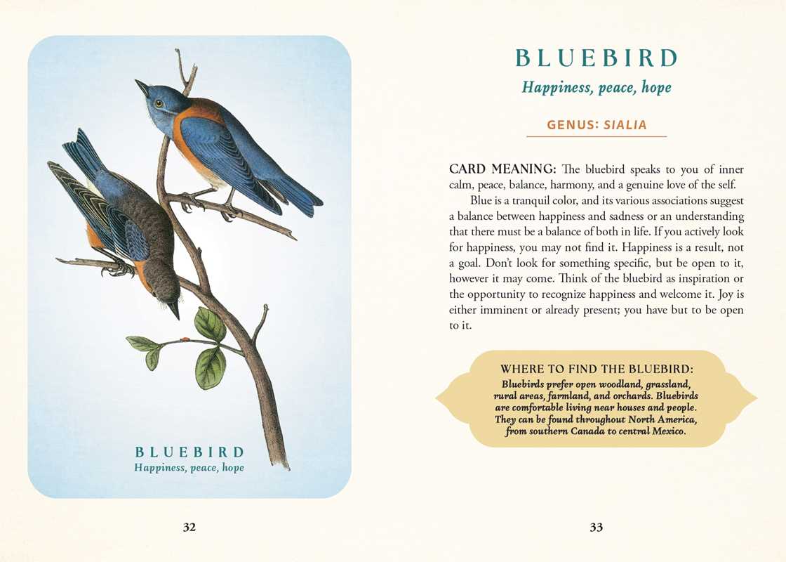 Spiritual Meaning of Birds Oracle Deck by Arin Murphy-Hiscock: Flashcards; 50 pages / English