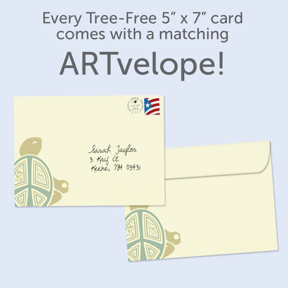 - Karma Turtle | Birthday Greeting Cards |