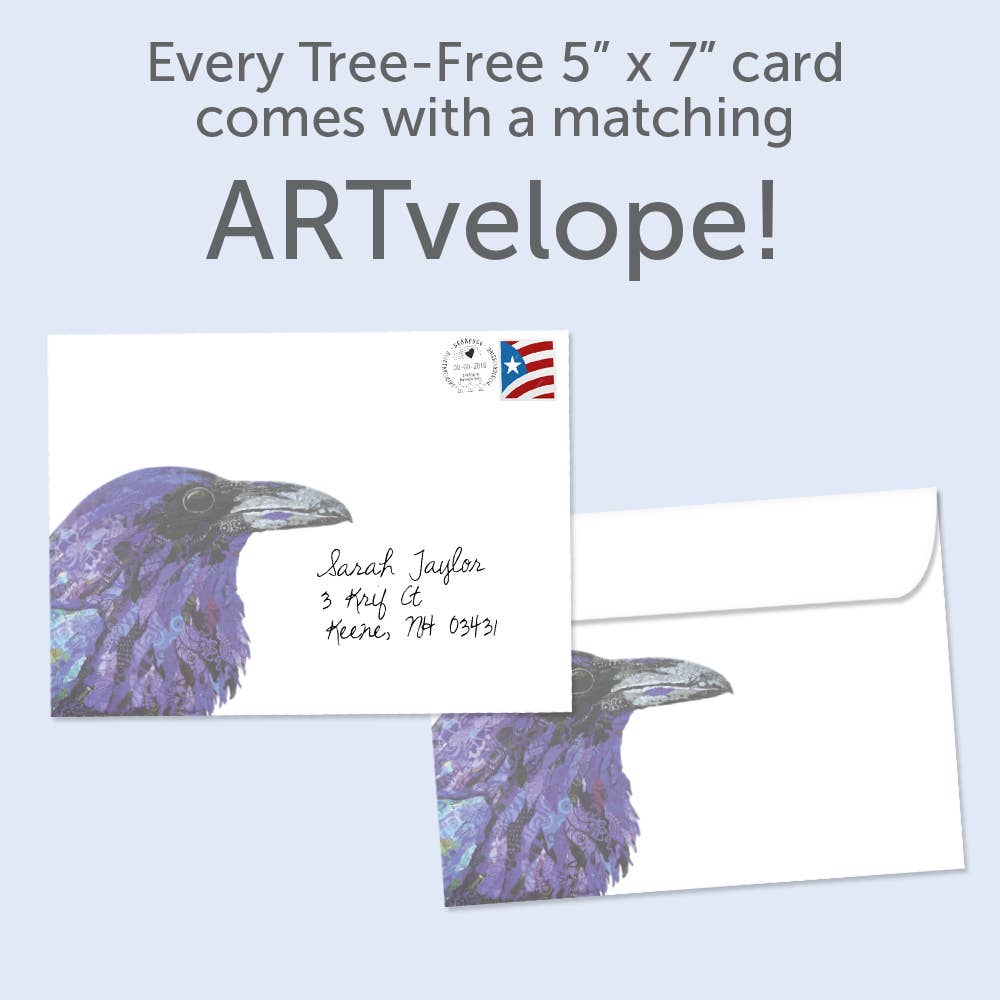 - Healing Raven |Support & Encouragement |
